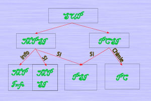 Le tableau des classes